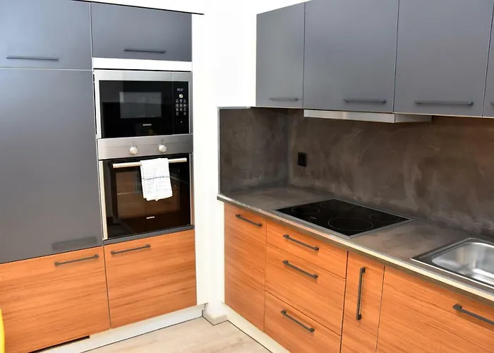 Apartament Comfort By Livingdowntown *